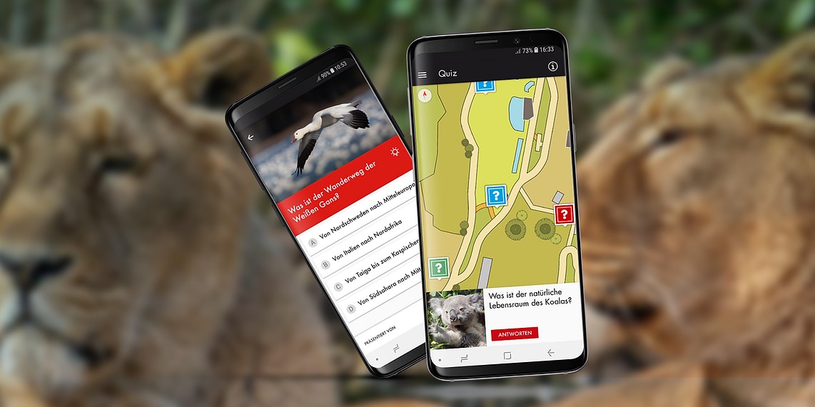 Zoo app – information and fun · Blog · Liip