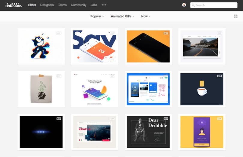 Dribbble Screenshot