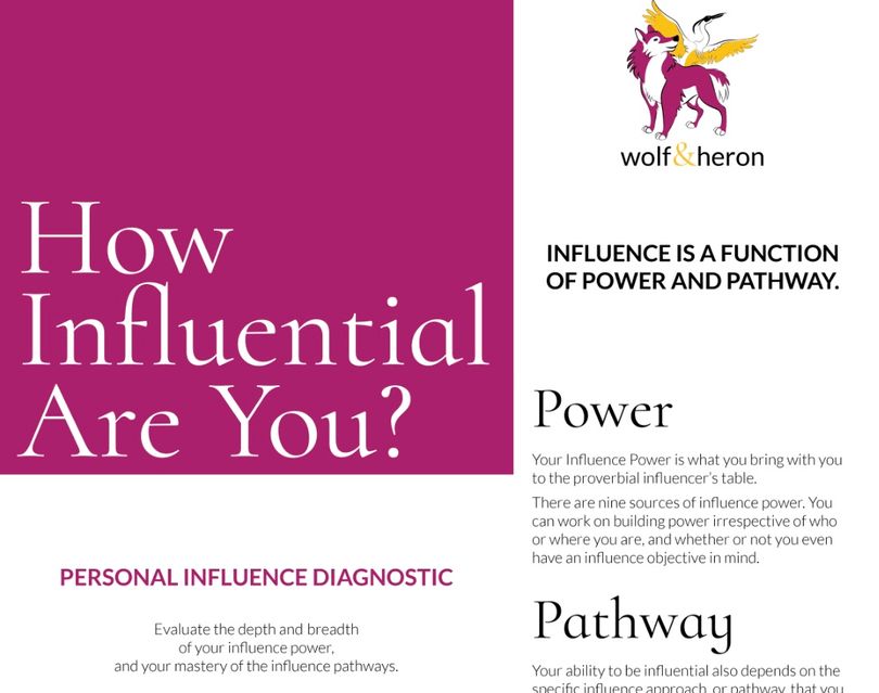 Wolf and Heron's Personal Influence Diagnostic