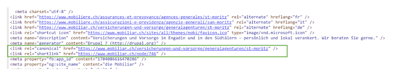 example of correct use of canonical in a website