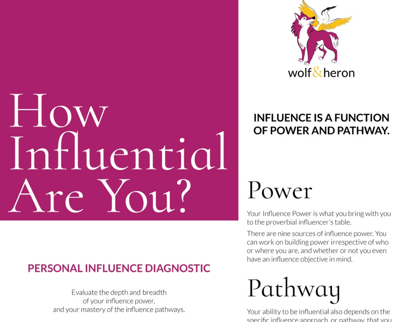 The cover of W&H Personal Influence Diagnostic