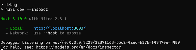 nuxt-debugger-1.jpg