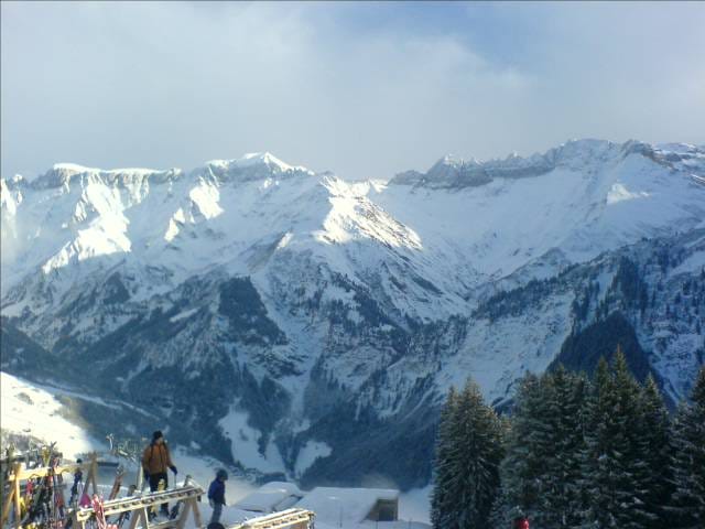 1136128741dsc00148
