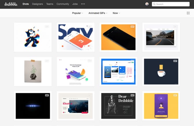 Dribbble Screenshot